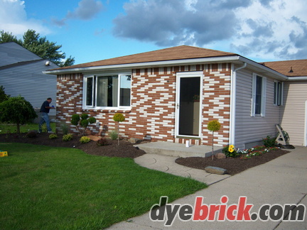 Dyebrick - Half Tinted